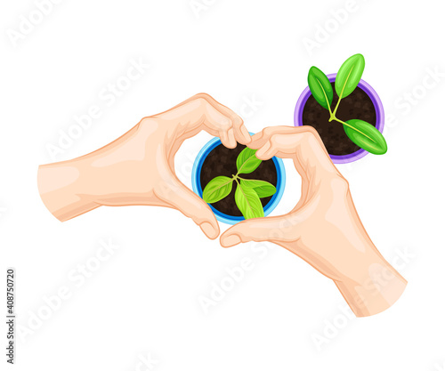Hands Showing Heart Gesture Above Young Plant Growing in Flower Pot Vector Illustration