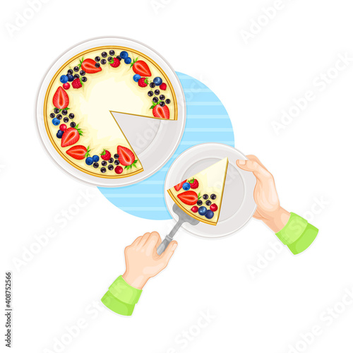 Hands Serving Piece of Sweet Berry Cake on Plate Above View Vector Illustration