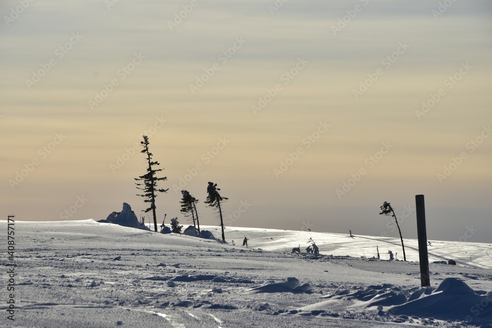 A winter landscape with silhouettes of trees with a nice sky in the background