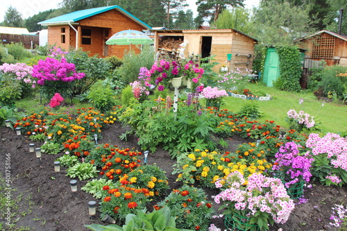 Fototapeta Naklejka Na Ścianę i Meble -  flowers in a garden