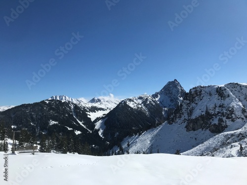 Berglandschaft Tirol © Tatiana
