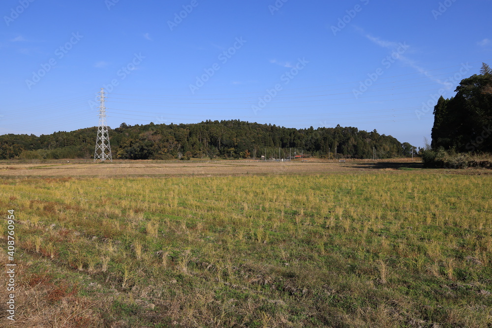 Obraz premium 空と田んぼ