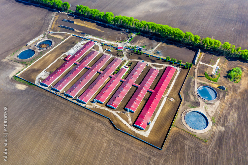 Naklejka premium Aerial view of a large pig farm on an agricultural field in spring