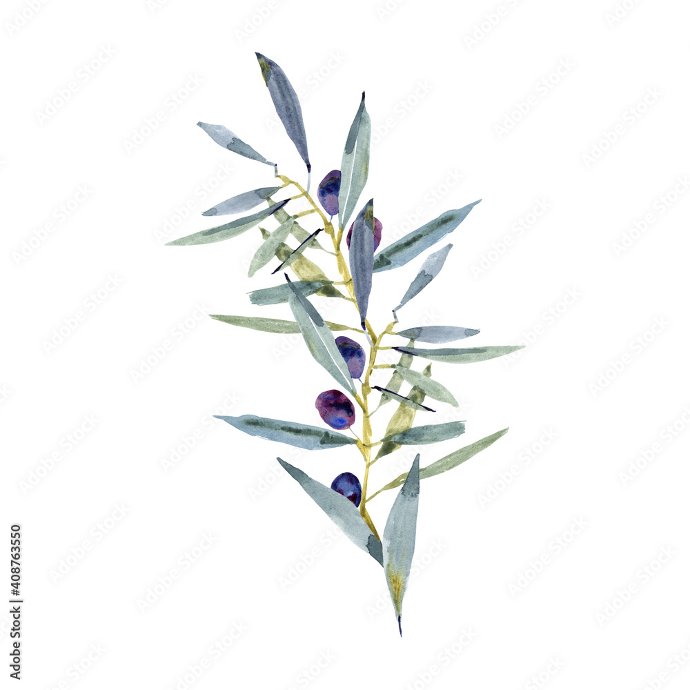 Obraz premium watercolor olive branch on a white background