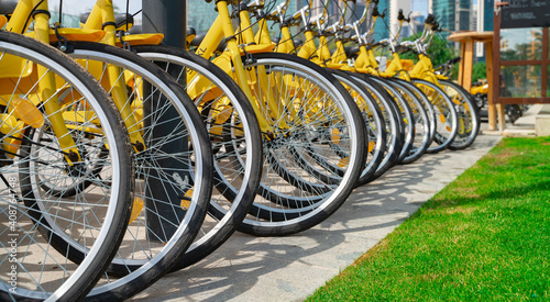Bicycles parked in row at a rent a bike shop in a park