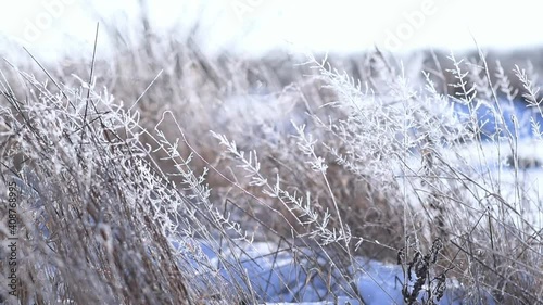 Frozen dry grass, diamond dust falling and sparkling in sunlight, winter bright and airy scene