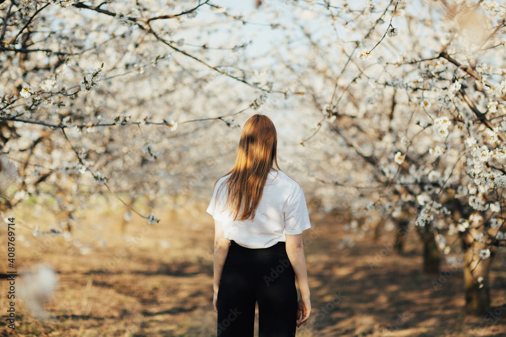 Back view of girl walking under blossoming trees in garden on hill at sunny spring day. Back view of girl walking under blossoming trees in garden on hill at sunny spring day.