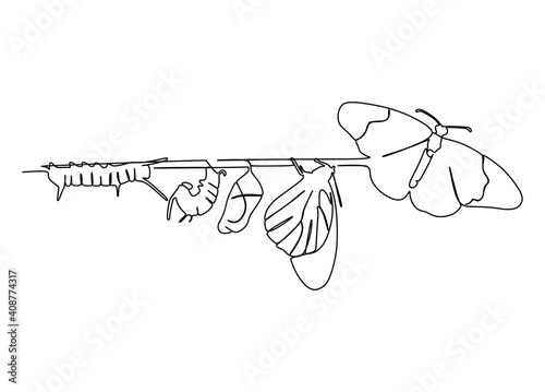 Butterfly metamorphosis phases on a tree trunk. Continuous one line drawing photo