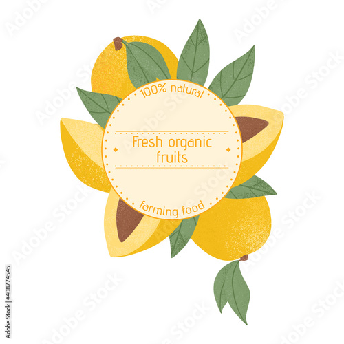 Wallpaper Mural Ripe mango, whole, sliced and half sliced mango. Sweet mango fruits vector hand drawn label design. Torontodigital.ca