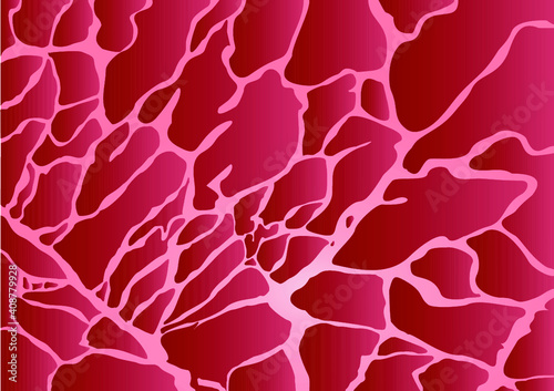 Meat texture