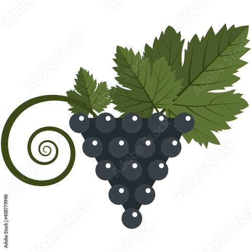 Blue grapes berries bunch with leaves flat vector icon