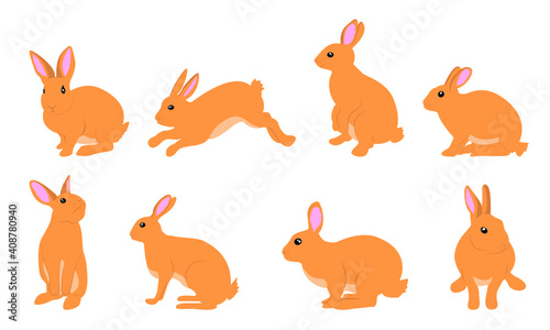 vector illustration of cartoon rabbits.Isolated On White Background