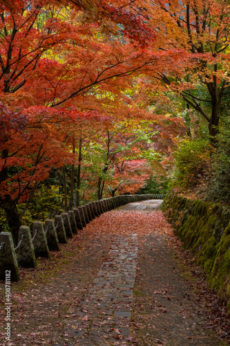 奈良県 吉野山の秋と紅葉景色