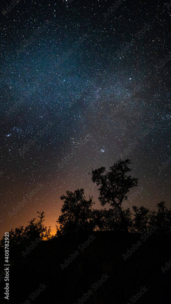 Midnight sky with stars over treetops in Morocco