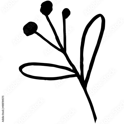Beautiful rowan small branch leaves, great design for any purposes. Holiday vector illustration. Vector drawing. Drawing style. Nature illustration. Holiday concept. Line drawing.
