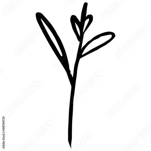 Young Sprout Tree Vector Line Art. Closeup of young sprout tree vector. Graphic design element. White background.
