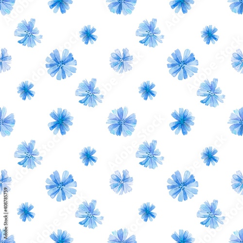 Watercolor pattern with chicory flowers. Suitable for printing on fabrics and packaging paper. Bright and juicy.