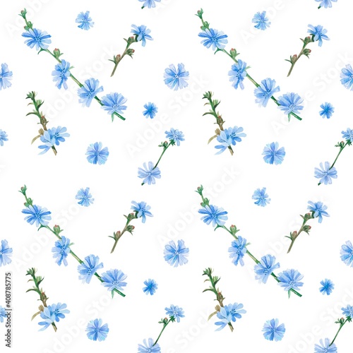 Watercolor pattern with chicory flowers. Suitable for printing on fabrics and packaging paper. Bright and juicy.