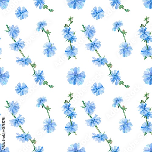 Watercolor pattern with chicory flowers. Suitable for printing on fabrics and packaging paper. Bright and juicy.