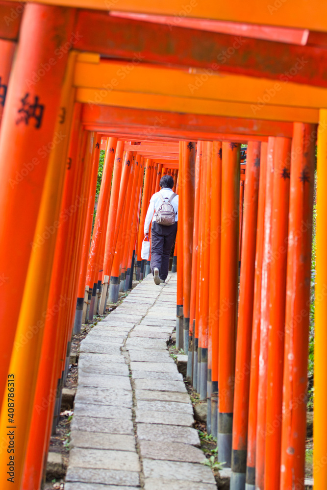 赤い鳥居を歩く 赤い鳥居を歩く
