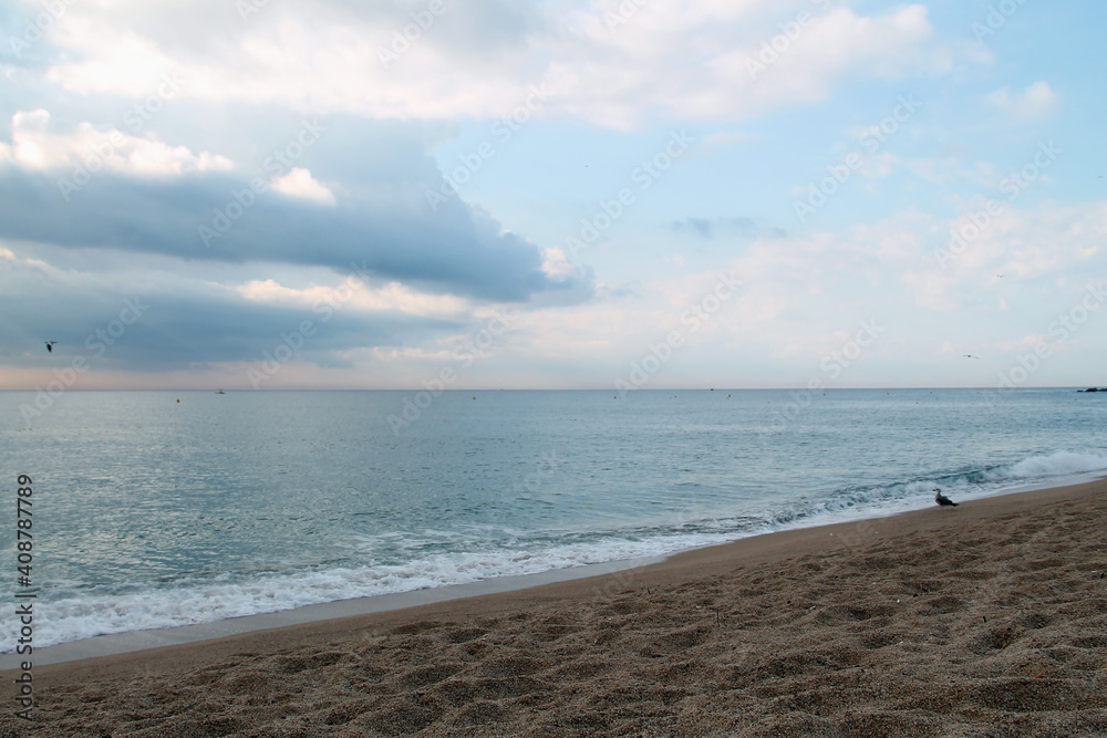 beach in the morning. beautiful view of the mediterranean sea. beach to the sea. walk by the coast under sunshine and blue sky with green trees. summer landscapes.