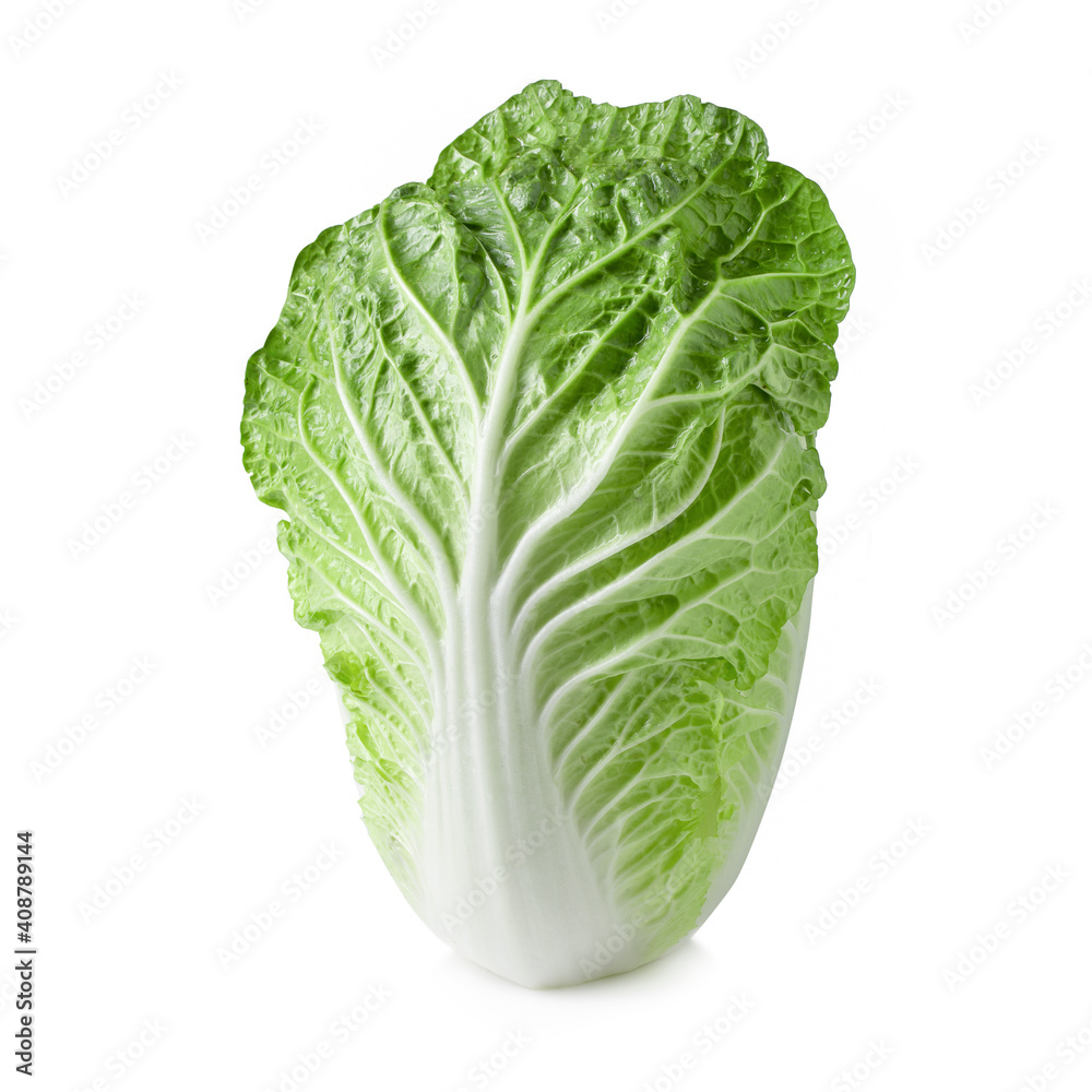 Fresh chinese cabbage isolated on a white background Fresh chinese cabbage isolated on a white background