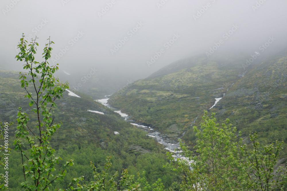 A mountain river flows between green hills. A thick fog descended on the mountain tops. A cold summer day in the north of Russia. Young foliage on the trees. A mountain river flows between green hills. A thick fog descended on the mountain tops. A cold summer day in the north of Russia. Young foliage on the trees.