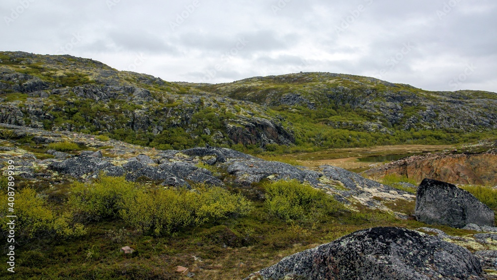 Moss and bushes grow on the stone mountains. Northern landscape on a cloudy summer day. Beautiful green natural background.