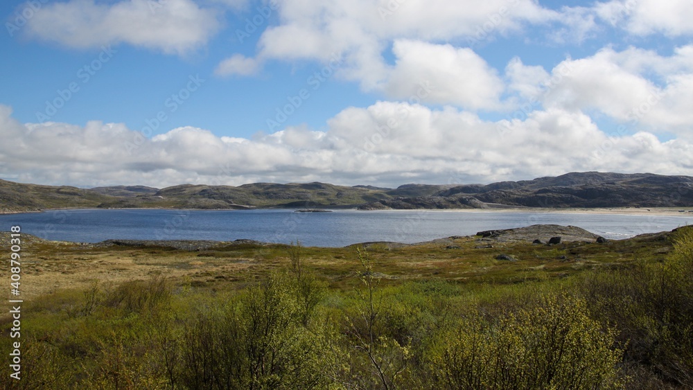 Beautiful landscape on a bright summer day. Shoreline lake with hills in the background. Young green foliage on the lake shore. White clouds in a blue sky.