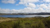 Beautiful landscape on a bright summer day. Shoreline lake with hills in the background. Young green foliage on the lake shore. White clouds in a blue sky.