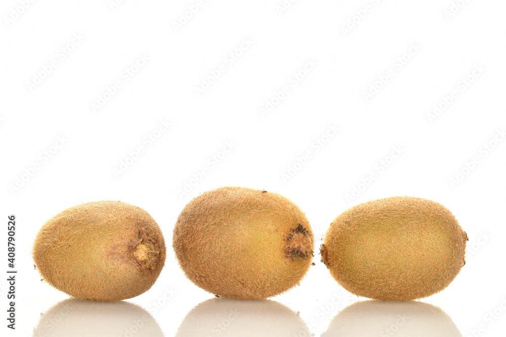 Three fresh organic kiwi fruits, close-up, isolated on white. Three fresh organic kiwi fruits, close-up, isolated on white.