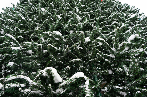 artificial christmas tree branches with decorated. branches of a large tree made of plastic