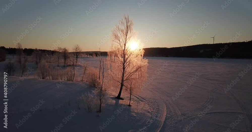 AERIAL SIDEWAYS - A magical frozen tree backlit by the low sun on a frozen lake