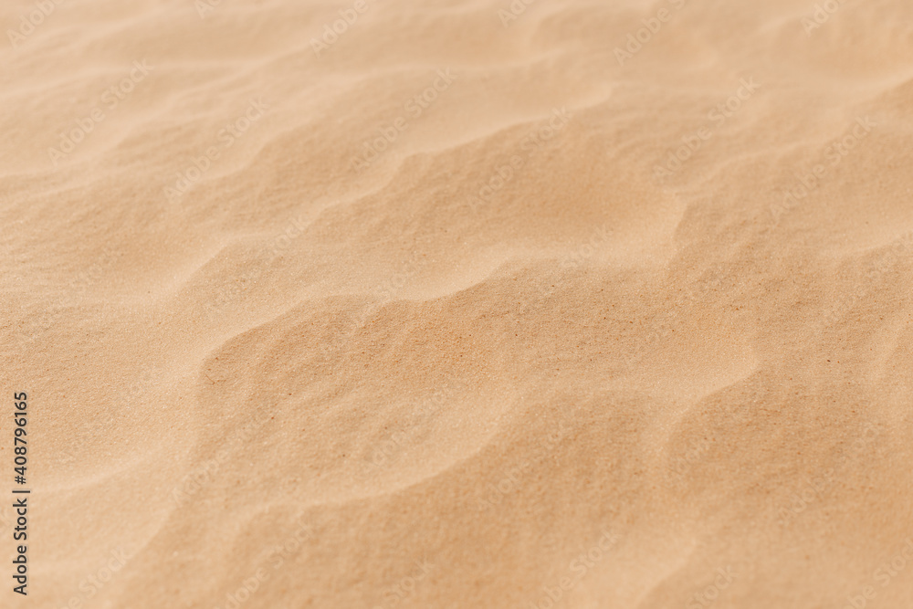 Desert landscape, dry grass and yellow sand Desert landscape, dry grass and yellow sand