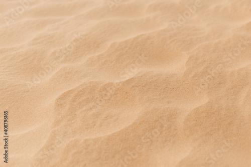 Desert landscape, dry grass and yellow sand