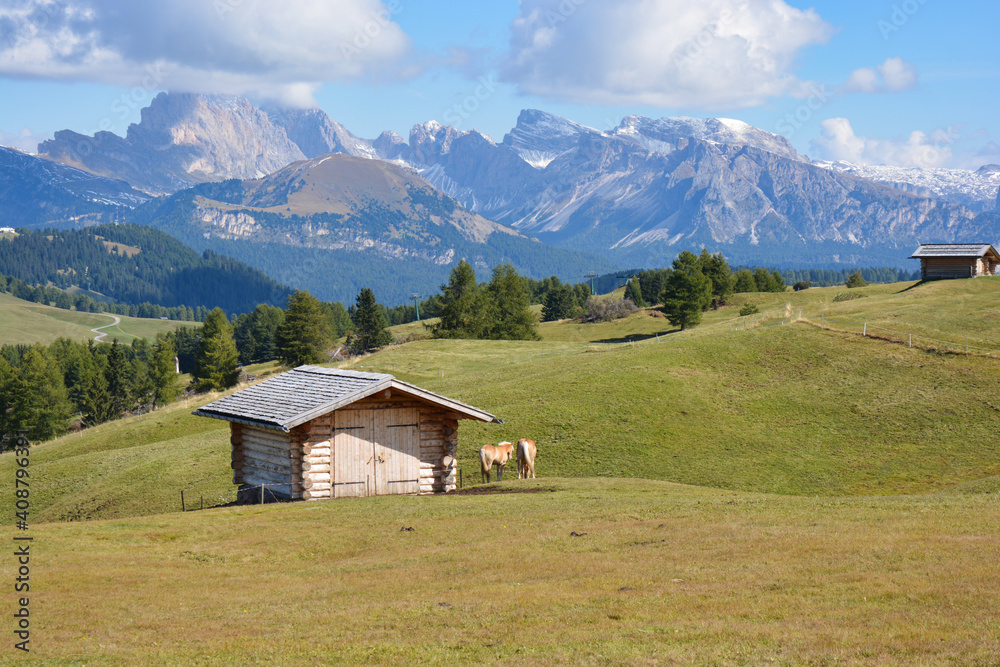 Pferde und kleine Hütte gegenüber des Bergmassivs auf der Seiser Alm in Südtirol