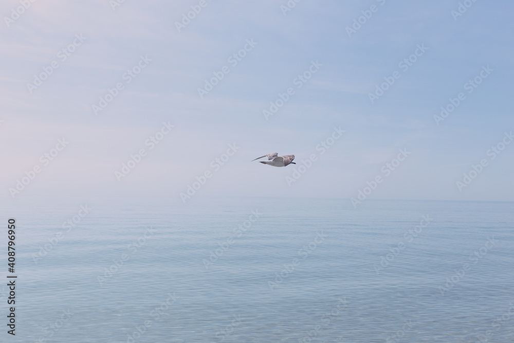 Fototapeta premium Clear and blue sea with a soft horizon
