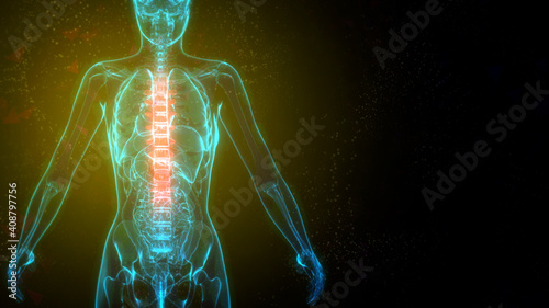 medicine 3d illustration, Thoracic, middle zone of backbone on x-ray scan of body photo