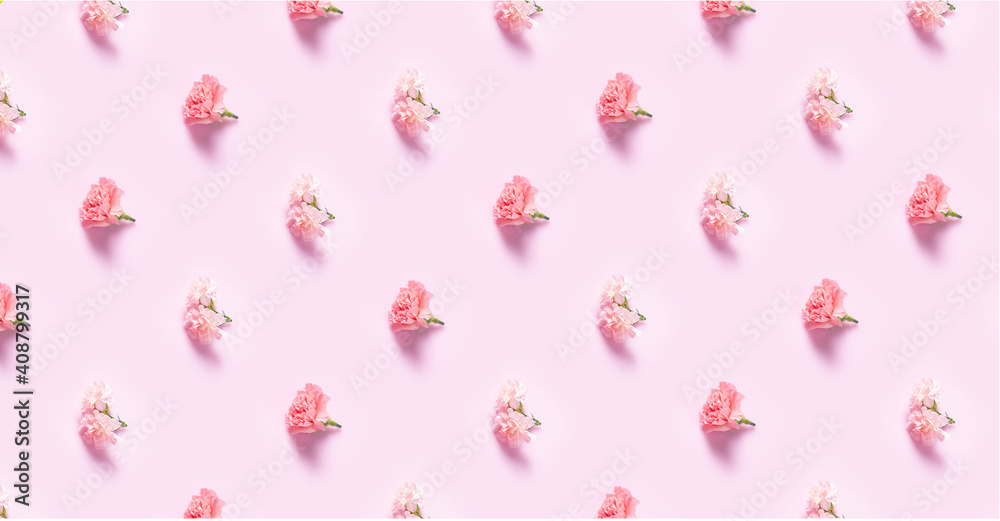 Carnation flowers with minimalist