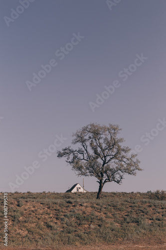 Landscape one tree and the roof of a house over the horizon