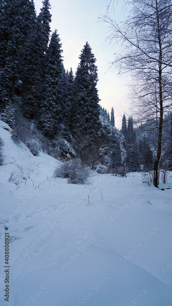 The mountain forest is completely covered with snow. The branches of trees and tall firs are all covered in snow. The steep slopes of the mountains, white snow. You can see path where people walked.