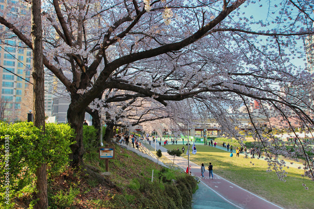 Spring of Oncheoncheon Citizens Park , Busan, South Korea, Asia Spring of Oncheoncheon Citizens Park , Busan, South Korea, Asia
