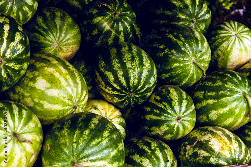 watermelons and melons
watermelon brackground
watermelon texture

