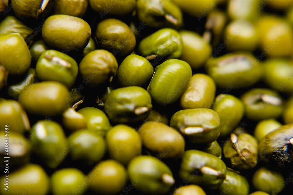 green beans close up
beans texture
green beans
bean harvest
green texture close up