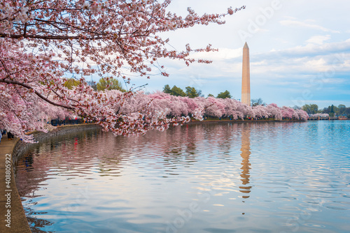 Washington DC, USA at the tidal basin with Washington Monument photo