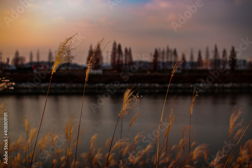 sunset over the river