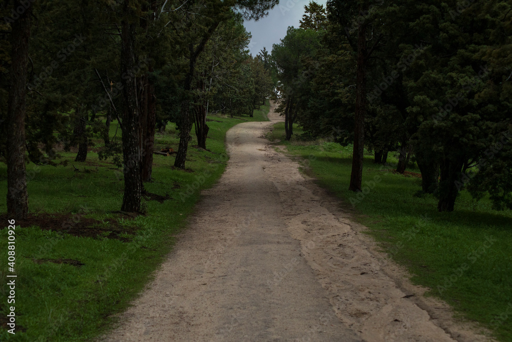 Ruta de senderismo entre árboles en la casa de campo de Madrid
