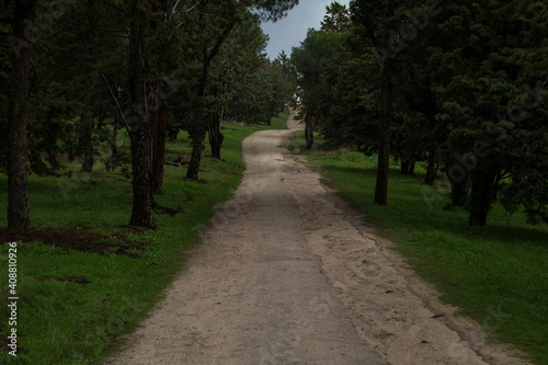 Ruta de senderismo entre árboles en la casa de campo de Madrid