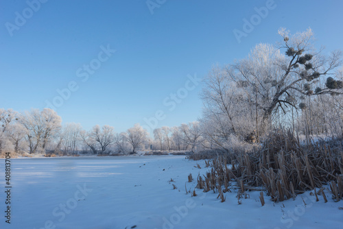 Landscape With Snowy Trees. Frozen Lake. © Kyreichenko