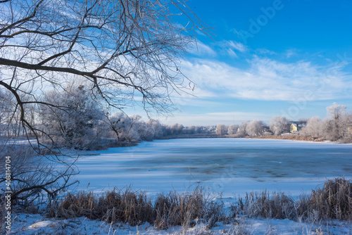 Landscape With Snowy Trees. Frozen Lake.